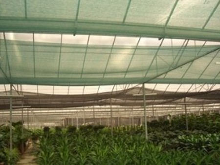 廣(guǎng)西遮陽網批發(fa)，南甯遮陽網廠(chang)家